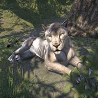 ON-creature-Lioness 02.jpg