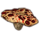 ON-icon-furnishing-Toadstool, Bloodtooth Cap.png
