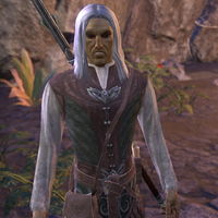 ON-npc-Warlock Carindon 02.jpg