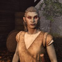 OBR-npc-Nardhil 02.jpg