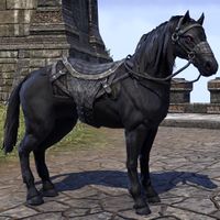 ON-mount-Hollowjack Rider Horse.jpg