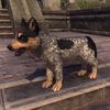 ON-pet-Blueblood Frog Hound Pup.jpg