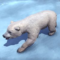ON-creature-Bear Cub.jpg