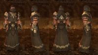 ON-item-armor-Wayward Guardian Light (Robes).jpg