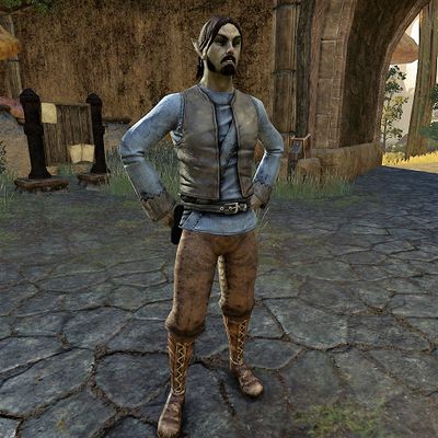 Online:Bradil Delms - The Unofficial Elder Scrolls Pages (UESP)