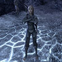 Online:Shadow Runner - The Unofficial Elder Scrolls Pages (UESP)