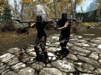 User-Xyzzy-Riften Guards.jpg