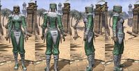 ON-item-armor-Homespun-Jerkin-Orc-Female.jpg