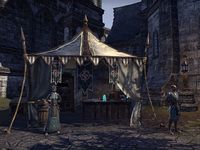ON-place-Mages Guild (Northpoint).jpg