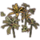 ON-icon-furnishing-Plant Cluster, Haafingar Underbrush.png