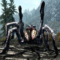 SR-creature-Frostbite Spider.jpg