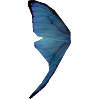 SR-icon-ingredient-Blue Butterfly Wing.png