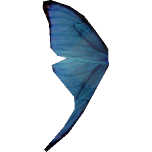 Category Skyrim Icons Ingredients The Unofficial Elder Scrolls Pages Uesp