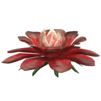 SR-icon-ingredient-Redwort Flower.png