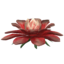 SR-icon-ingredient-Redwort Flower.png