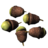 BS5-icon-ingredient-IronwoodNuts.png