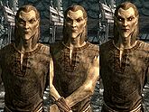 A male Altmer, before and after becoming a vampire