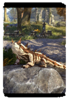 ON-card-Thorn Gecko.png