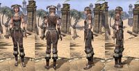ON-item-armor-Nord Medium 2 Female.jpg