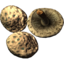 SR-icon-ingredient-Scaly Pholiota.png