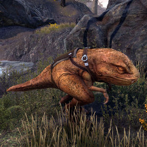 Online:pack Guar - The Unofficial Elder Scrolls Pages (uesp)