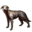 ON-icon-pet-Windhelm Wolfhound.png