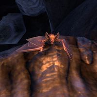 ON-creature-Bat.jpg