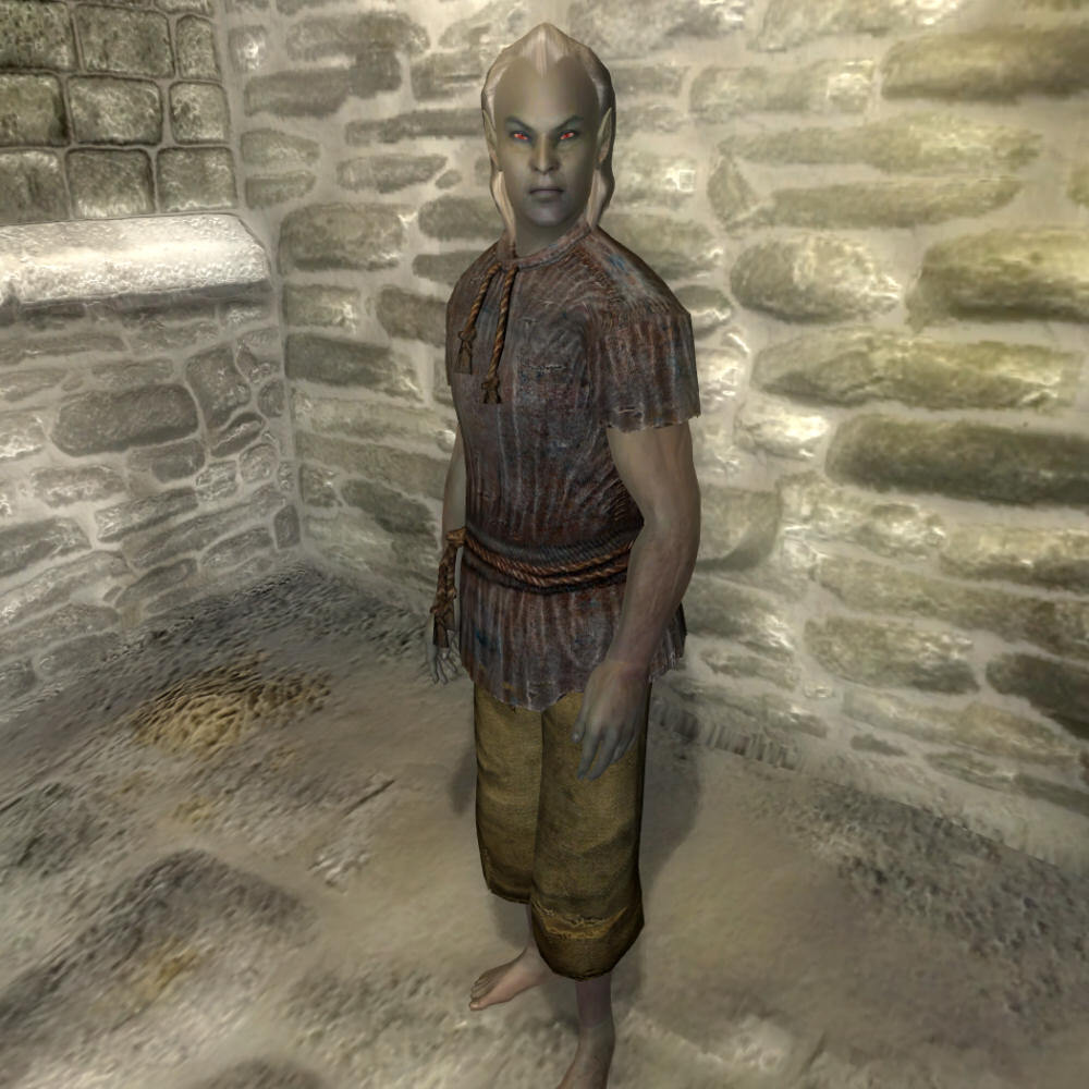 The prison dark elf