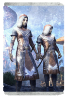ON-card-Telvanni Wizard-Lord Robe.png