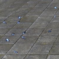 ON-furnishing-Blue Butterfly Flock.jpg