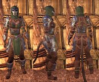 ON-item-armor-Grim Harlequin Heavy.jpg