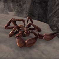 ON-creature-Giant Scorpion Corpse.jpg