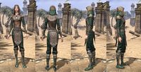 ON-item-armor-Breton Light Jerkin 1 Female.jpg