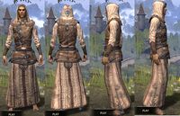 ON-item-armor-Homespun-Robe-Altmer-Male.jpg