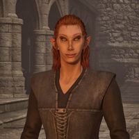 OBR-npc-Laralthir 02.jpg