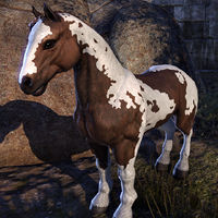 ON-creature-Ahla's Horse.jpg