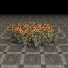 ON-furnishing-Flowers, Sunflower Patch.jpg
