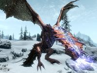 Skyrim dragon names, types, and locations