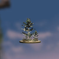 BL-decoration-Cedar Tree.jpg
