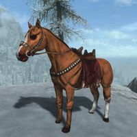 BS5C-creature-Chestnut Horse.jpg