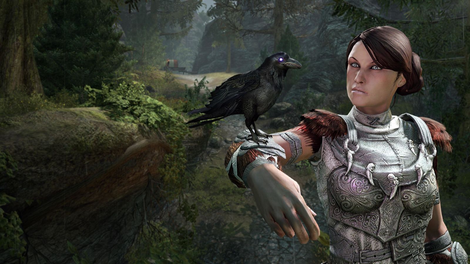 Calling crows. The Elder Scrolls online темный Эльф. Eso Duke of Crows.