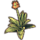 ON-icon-furnishing-Plant, Galen Agave.png
