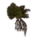 ON-icon-furnishing-Plant, Hefty Elkhorn.png
