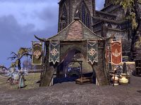 ON-place-Mages Guild (Ebonheart).jpg