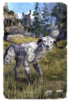 ON-card-Windhelm Wolfhound.png