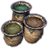 ON-icon-dye stamp-Sprouting Vernal Tinges.png