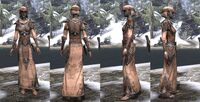 ON-item-armor-Dark Elf Light Robe 2 Female.jpg