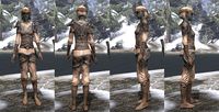 ON-item-armor-Homespun-Jerkin-Dunmer-Female.jpg