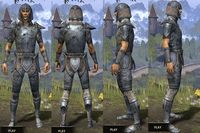 ON-item-armor-Iron-Altmer-Male.jpg