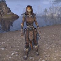 East Skyrim Scout Outfit (female)